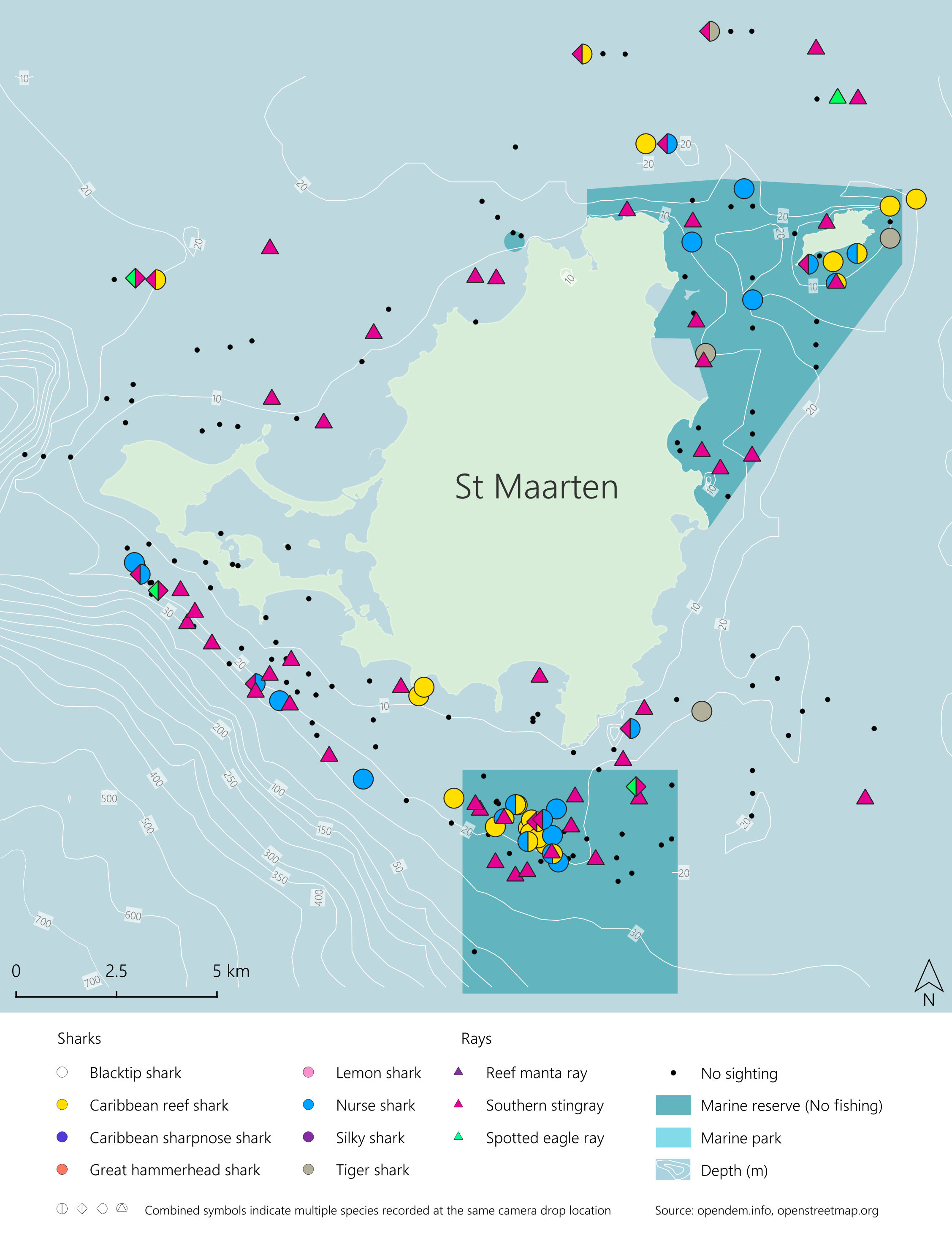 Marine Predator Spatial Dynamics